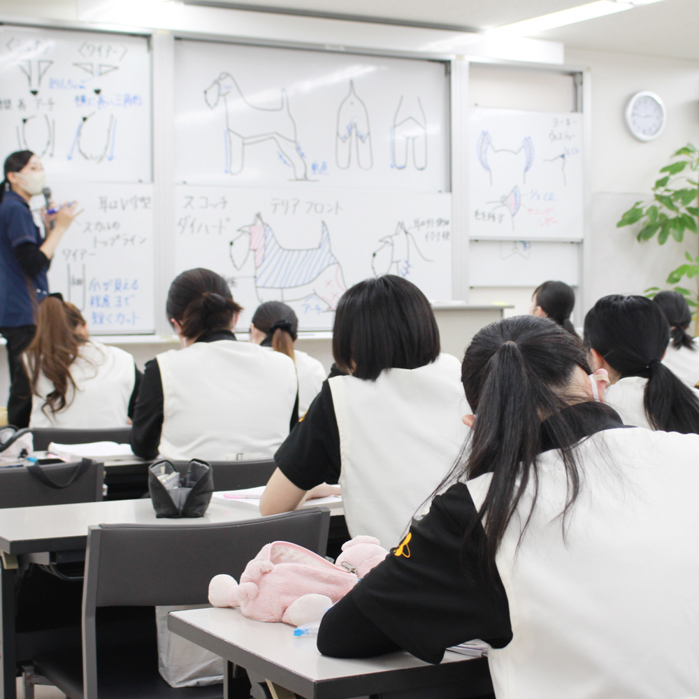 トリミングの基礎を学ぶ講義♪
